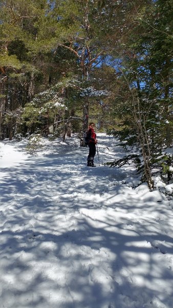 It was a bit of a snowy trip this day.