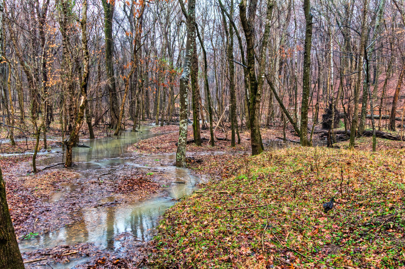 Radnor Lake State Park