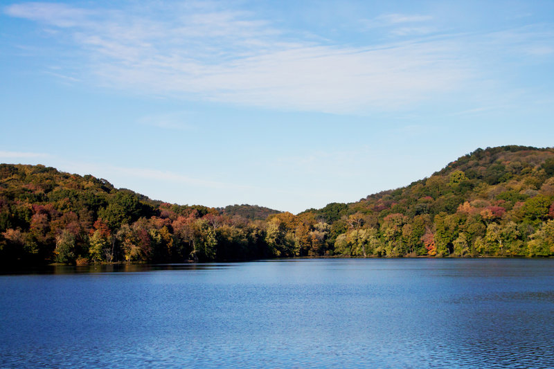 Radnor Lake