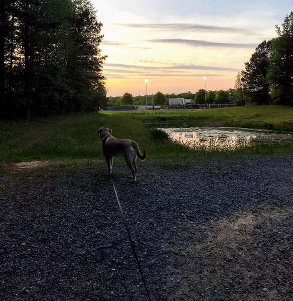 Walking the dog. Sunset at Warhill Park 3.5 mile loop.