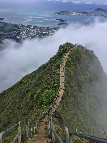 A foggy day on the Haiku Stairs