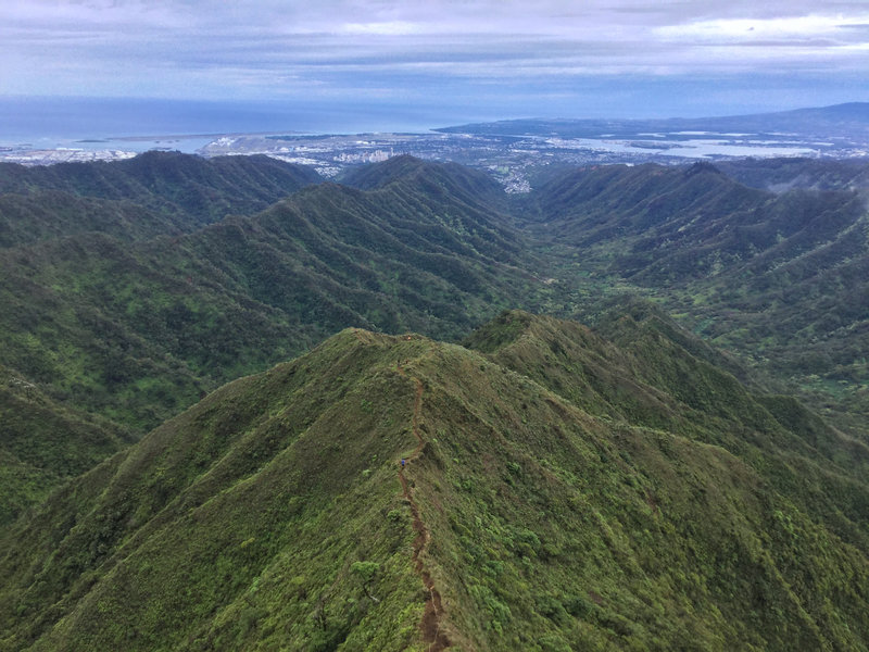 trail view