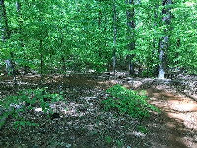 The trail winding downhill to a bridge