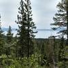 Much of the trail has views of Lake Tahoe (but only through the trees)