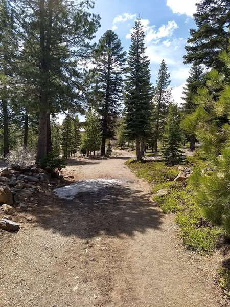 Nice wide trail. Some snow still melting first week of May.