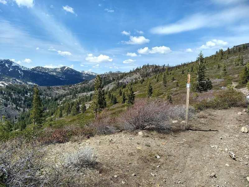 The trail continues onto the Donner Lake Rim trail (or just turn around like we did)