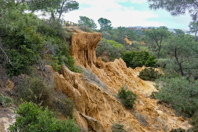 Sandy cliffs indicative of the area.