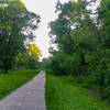 The trail is surrounded by lush vegetation that provides great shade for your traverse of White Rock Creek.