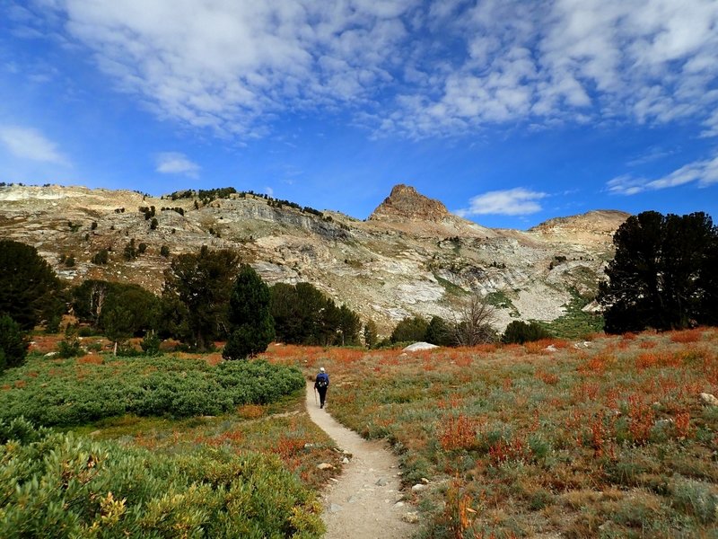 Near the Dollar Lakes