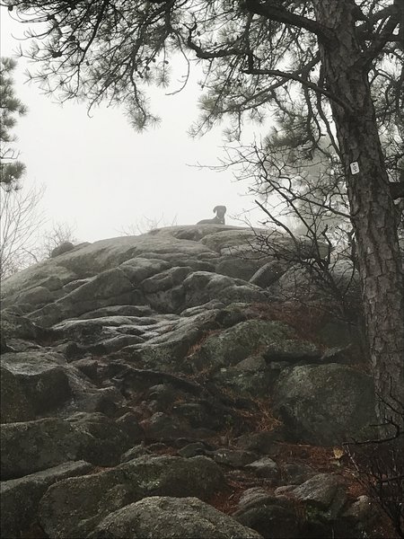 Even on a foggy day, the hike itself is worth it!