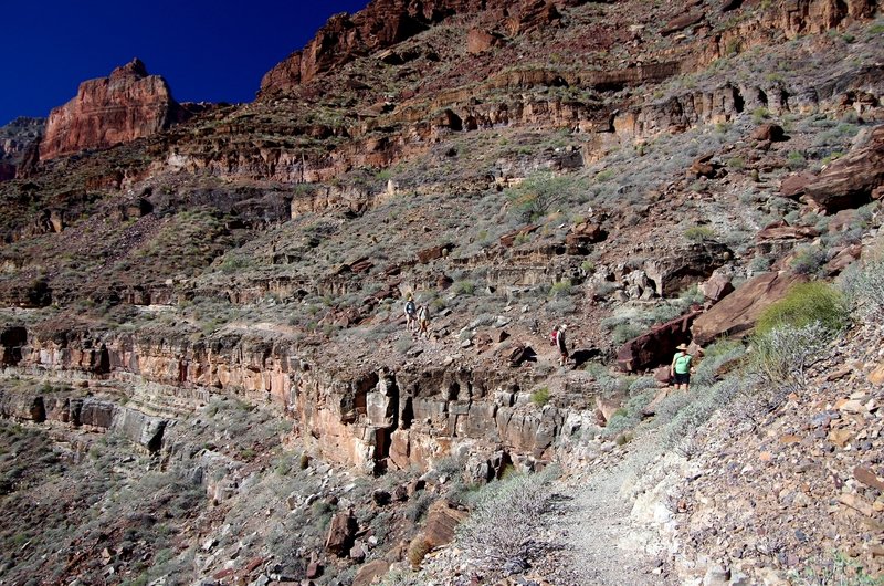 Traversing in to upper Tapeats Creek