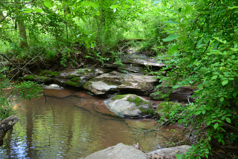 The lower two-thirds of the Blue Trail runs along, around and through a creek. Use caution. Footing can be slippery in wet conditions.