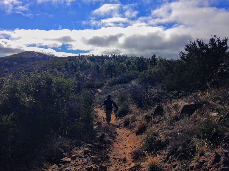 Heading up the dusty trail