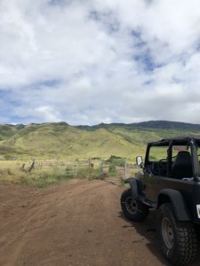 This is the dirt road off the main highway, and the entrance to the trail. The dirt road bends to the left and leads to the actual trailhead.