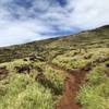 One of the smoother portions of the trail, heading up from east to west.