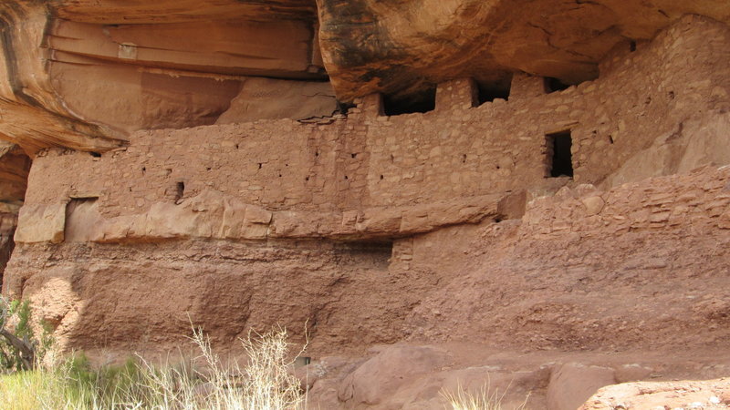 View from the ground