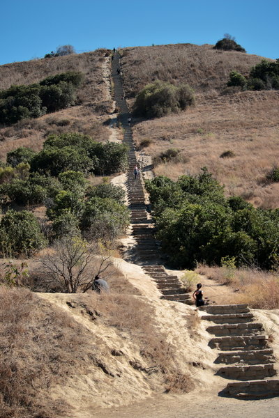 The Stairs