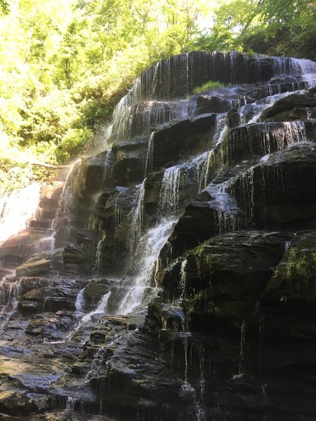 Yellow Branch falls