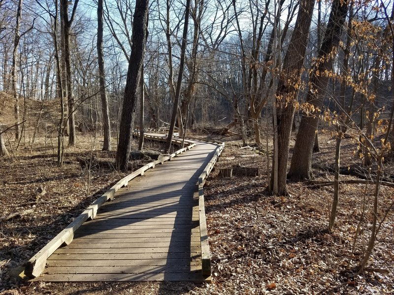 Wetland boardwalk