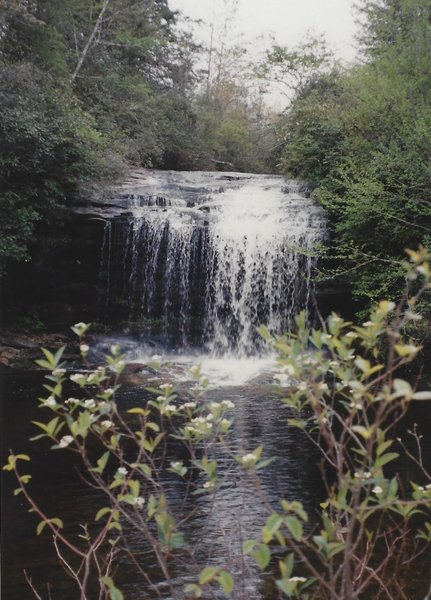 Summer view of the falls