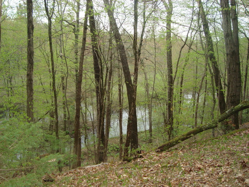 Big Daily Bayou, a gut or small creek, off the Kalamazoo River.