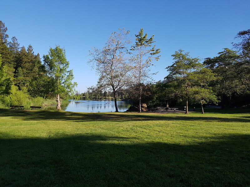 Picnic area