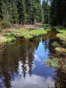 South Fork of Little Butte Creek