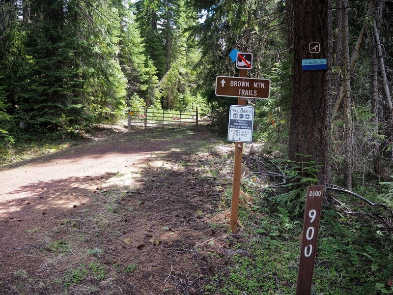 The gate closing FR 900 just past the western trailhead