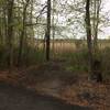 Maritime Forest Trail (Red) trailhead near the Cooper Environmental Center