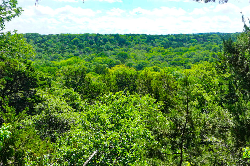 Great views abound on top of Cedar Ridge.