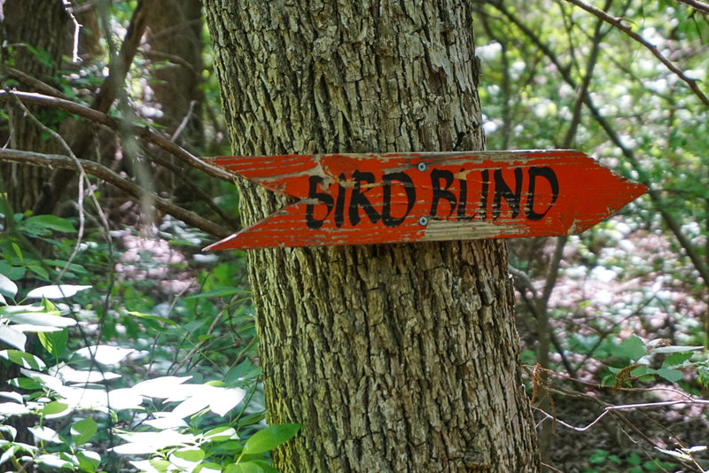 Lots of bird viewing opportunities exist at this Audubon Center.