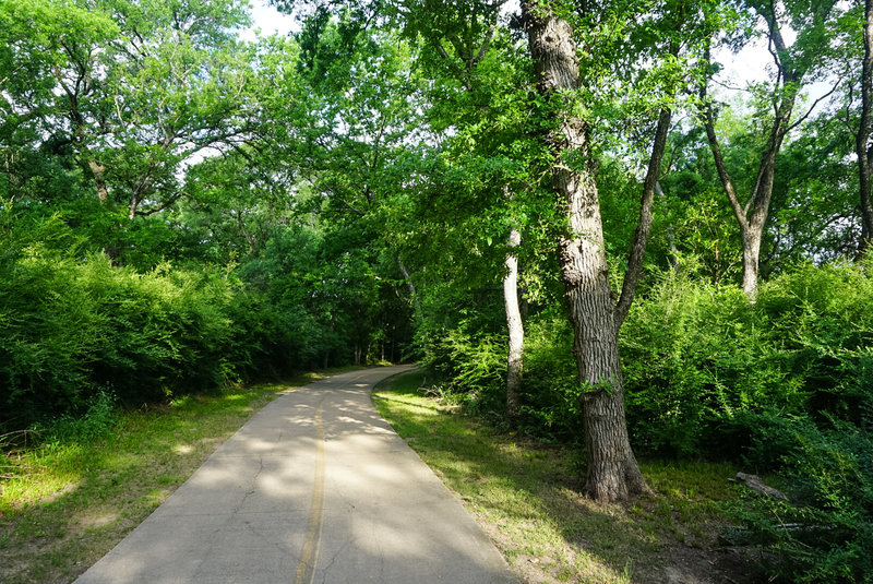 Typical heavy foliage along the River Legacy Trail.