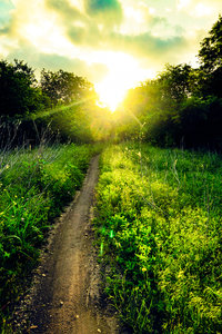 A beautiful sunrise over the trail adds a bit of serenity to the day.