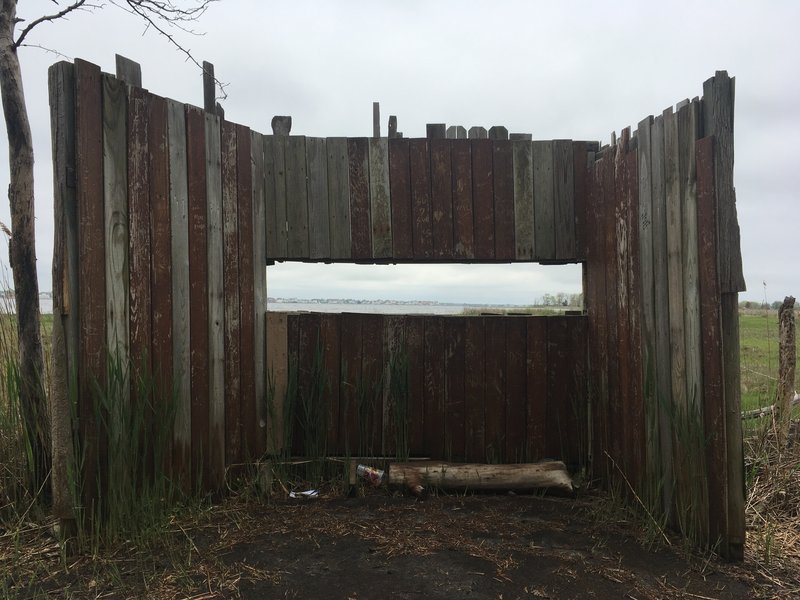 Bird observation blind