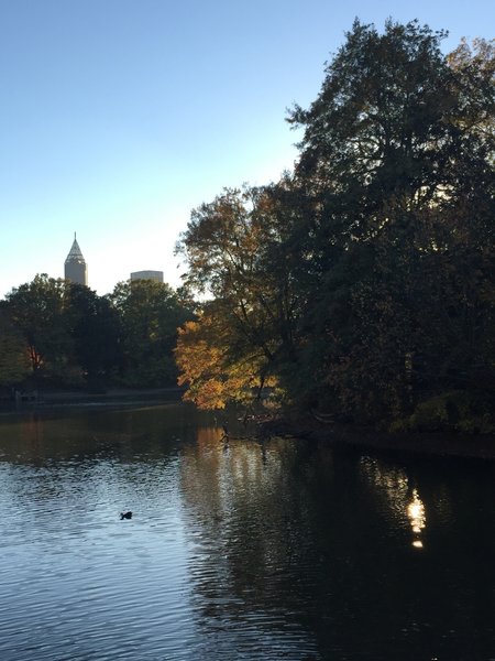 View from the bridge that bisects Lake Clara Meer in the middle of the park.