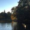 View from the bridge that bisects Lake Clara Meer in the middle of the park.