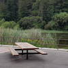 Picnic area with BBQ next to one of the fishing docks