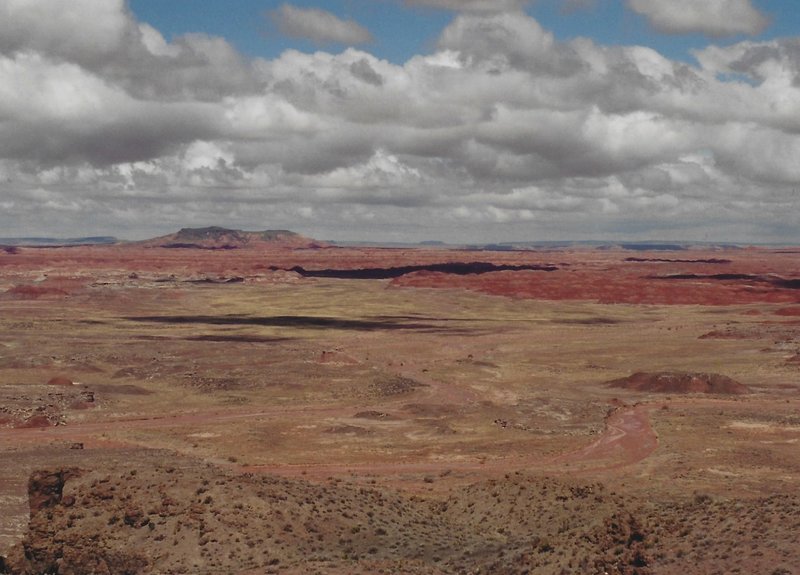 View of the Painted Desert