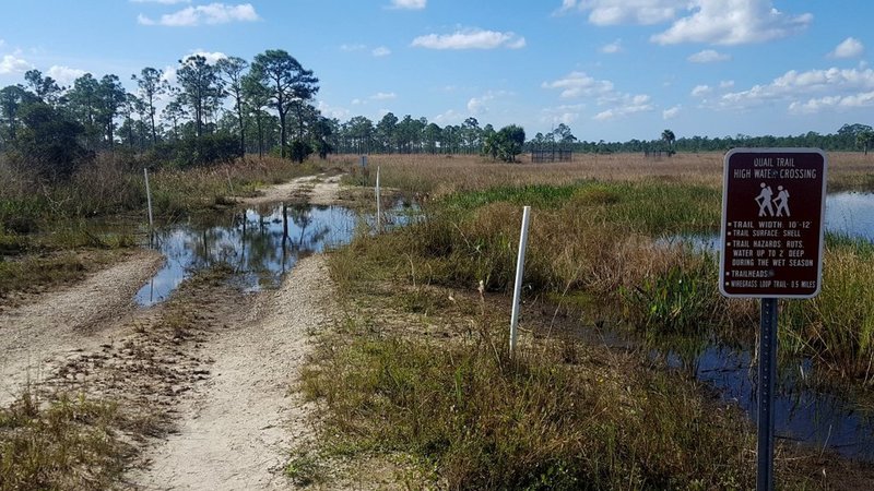 End of a dry section of trail