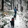 Snow run on Minnow Ridge