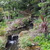 Water and garden next to the Beach House