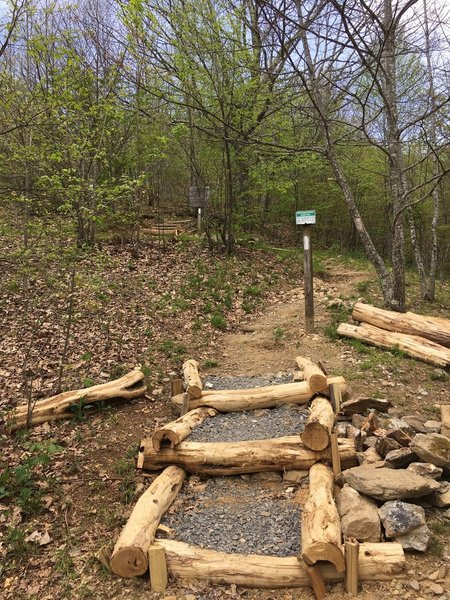 Improvements to the eroded trails