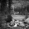 Crossing Sprague Creek