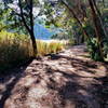 The Wallaby Track just northeast of Ballarat.