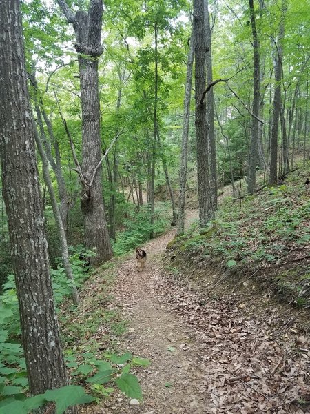 Lake Loop Trail after boat ramp area