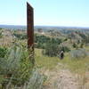 Near the start of the Lone Tree Loop Trail