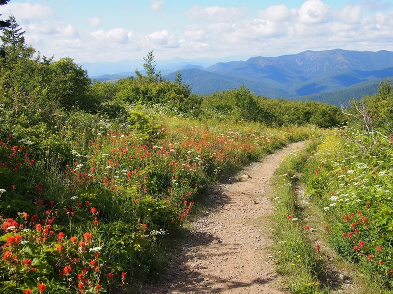 Silver Star Mountain