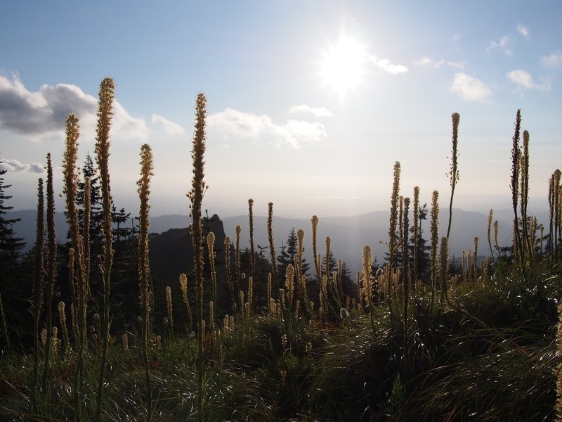 Silver Star Mountain area