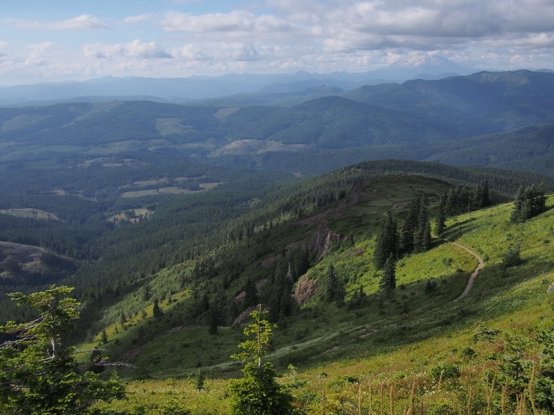 Mount St. Helens from Silver Star Mountain