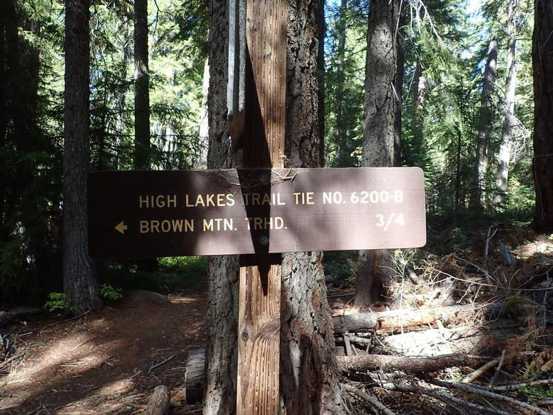 Where the Tie Trail meets the Brown Mountain Trail